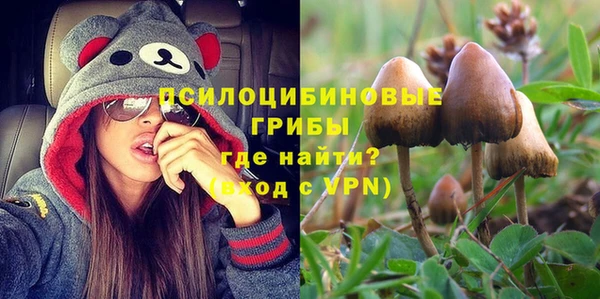 ECSTASY Алексеевка