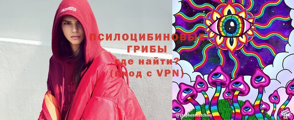 бошки Арсеньев